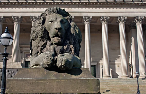 Lion statue in front of St Georges Hall, Liverpool, UK — Stock Photo, Image