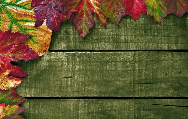 Colorful wet autumn leaves arranged on old wooden table — Stock Photo, Image