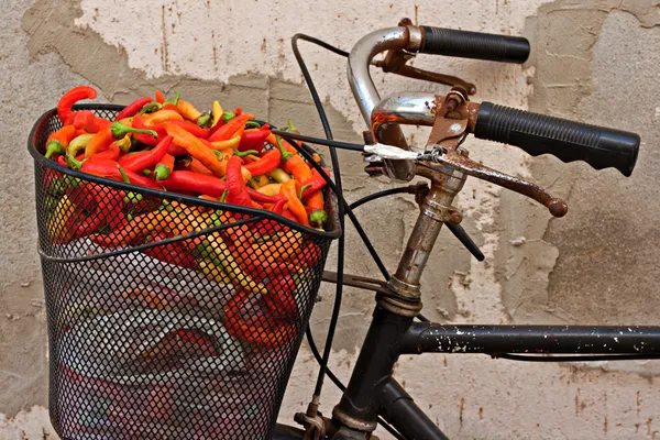 Régi rozsdás kerékpár kosár színes paprika — Stock Fotó