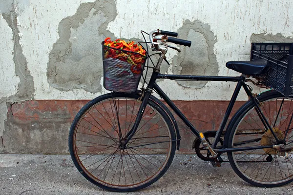 Old rusty bicycle with colorful peppers in basket — Stock Photo, Image
