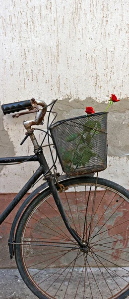 Rose rosse nel cestino della vecchia bicicletta arrugginita — Foto Stock