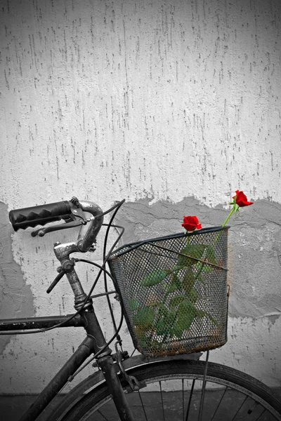 Red roses in basket of old rusty bicycle — Stock Photo, Image