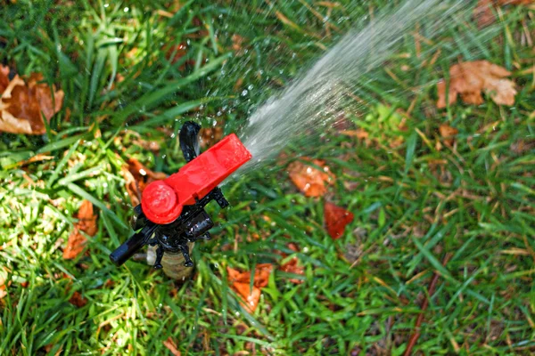 Aspersor de relva de jardim automatizado — Fotografia de Stock