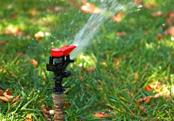 Geautomatiseerde tuin gazon sprinkler — Stockfoto