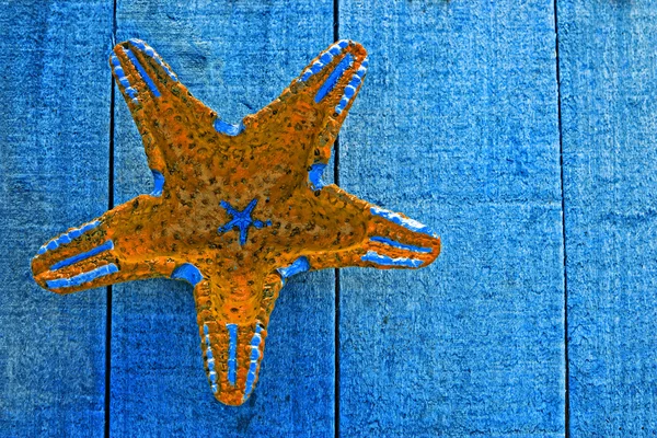 Stella marina gialla su sfondo blu decking — Foto Stock