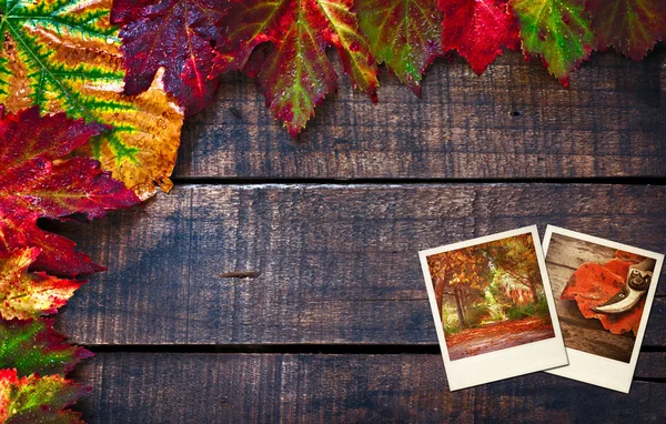 Colorful wet autumn leaves arranged on old wooden table — Stock Photo, Image