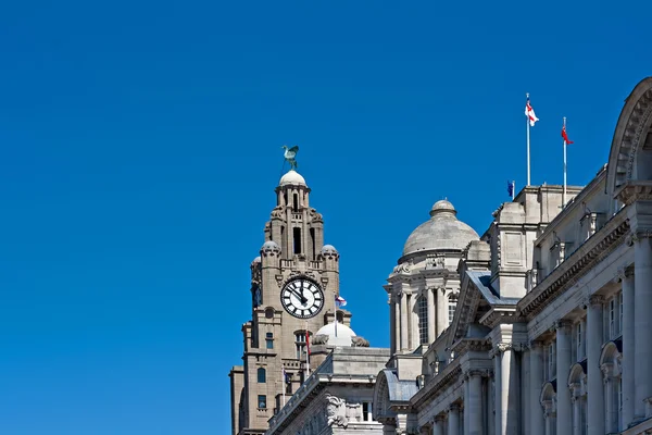 Frontansicht der Lebergebäude, Leberpool, UK — Stockfoto