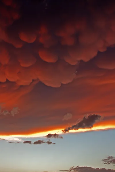 Mammatus clouds at sunset ahead of violent thunderstorm — Stock Photo, Image