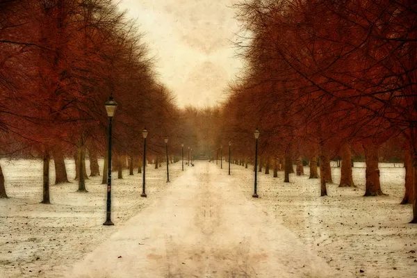 Vintage trädkantad väg genom parken i vinter snö — Stock fotografie