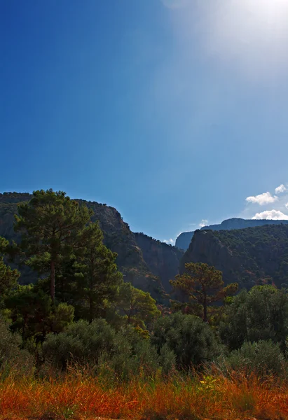 Gorge Saklikent, Turquie — Photo