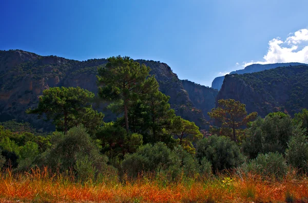 Saklikent Gorge, Turkey — Stock Photo, Image