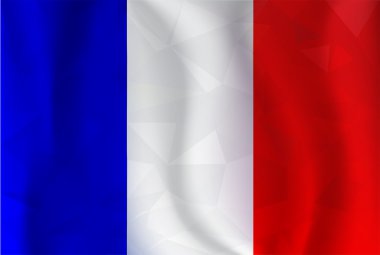 Fransa poligonal bayrağı