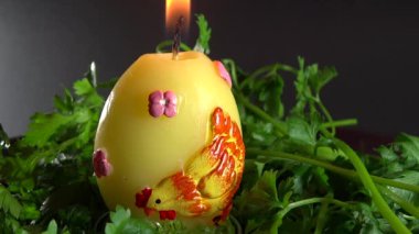 Sarı yumurta Bölüm 1