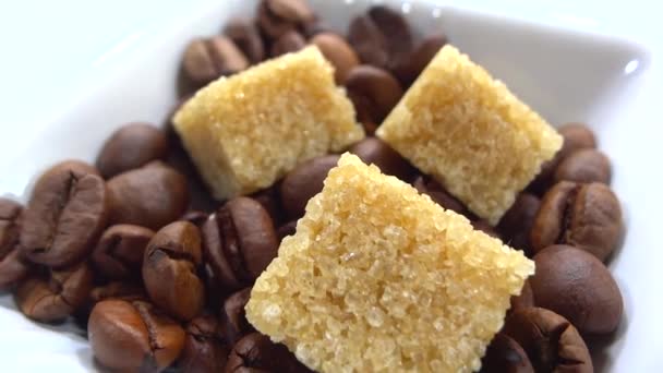 砂糖キューブ コーヒーノキ豆を栽培のクローズ アップ — ストック動画