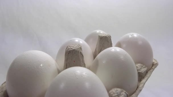 Eggs presentation in white background — Stock Video