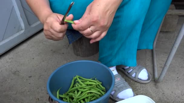 Osoba řezu zelené fazolky — Stock video