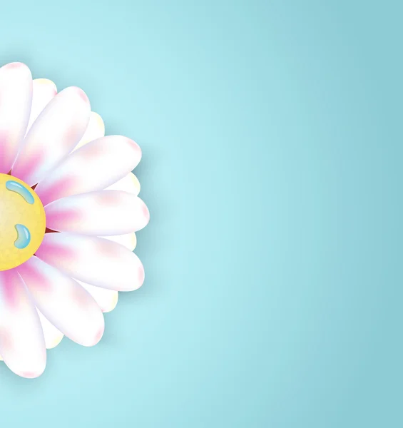 カモミールの花と春の抽象的な花の背景 — ストックベクタ