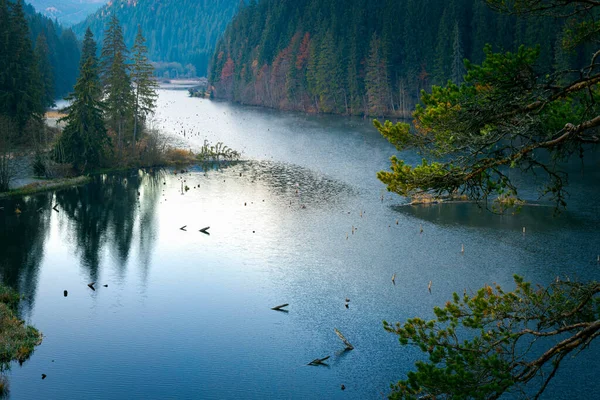 Luftaufnahme Des Lacu Rosu Sees Herbstszene Von Harghita County Rumänien — Stockfoto