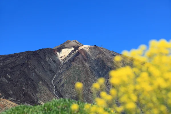 TEÍDA — Foto de Stock