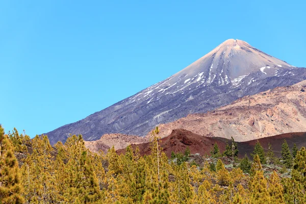 Tenerife, teide landschap — Stockfoto