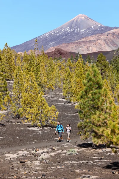 Wandelen landschap teide, tenerife — Stockfoto