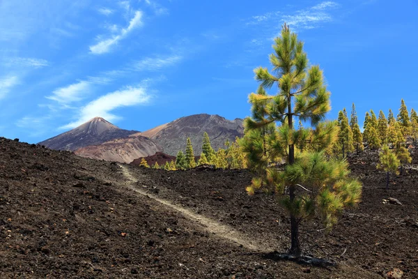 Teneriffa vulkanen teide landskap — Stockfoto