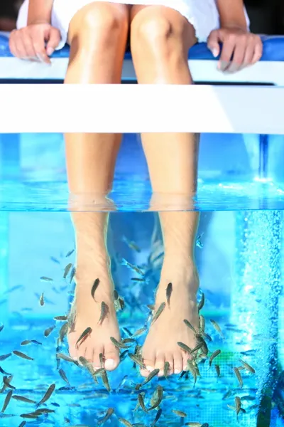 Fish spa pedicure — Zdjęcie stockowe