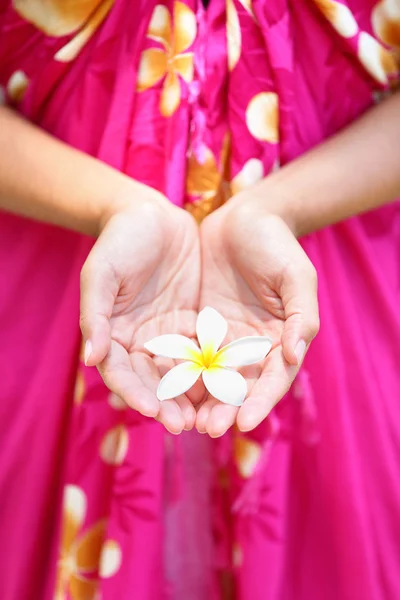 Hawaiian flower in cupped hands — Stok Foto