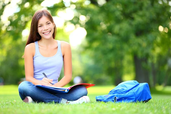 Studente che studia nel parco Foto Stock