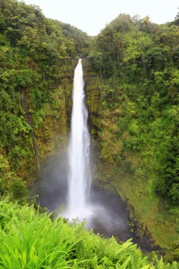 Hawaii Akaka Falls - Hawaiian waterfall clipart