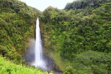 Waterfall - Akaka falls Hawaii clipart