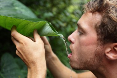Survival - man drinking from leaf in jungle clipart