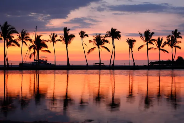 Raj plaży zachód palmami tropikalnymi drzewami — Zdjęcie stockowe