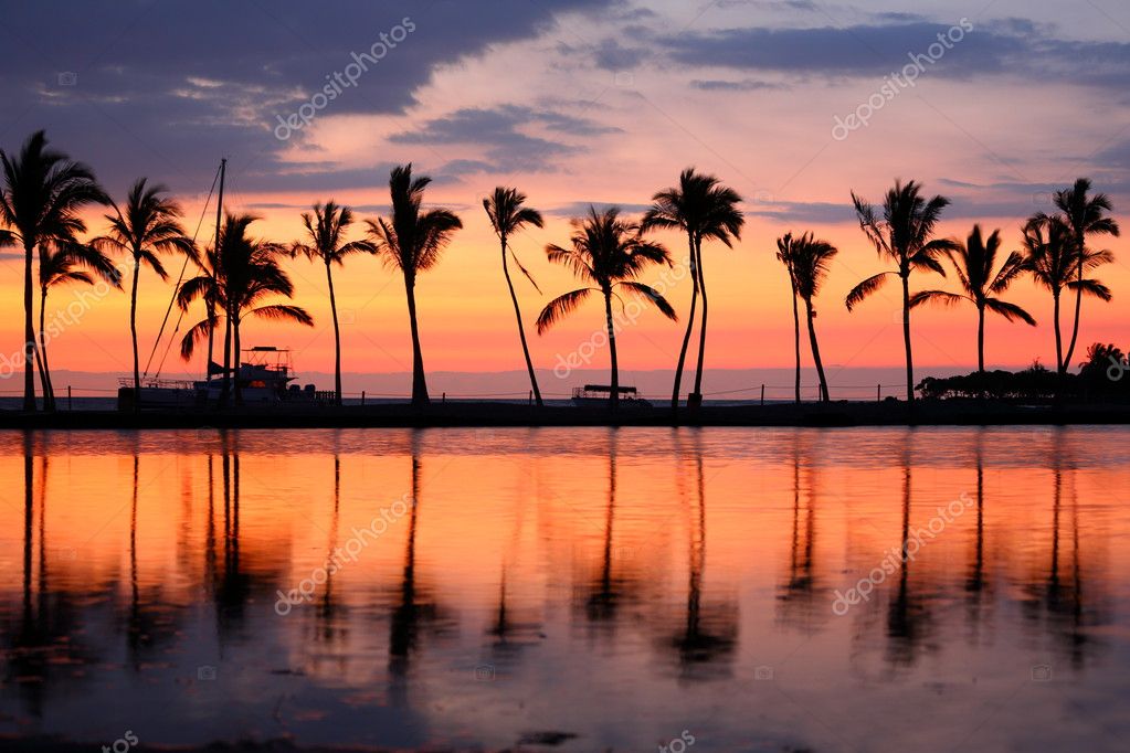 Featured image of post Beach Sunset Wallpaper Hawaii - You can also upload and share your favorite hawaii sunset wallpapers.
