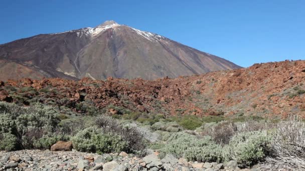 Actieve wandelaar vrouw wandelen op de teide tenerife — Stockvideo