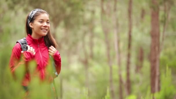 Kvinna vandrare vandring i skogen på Teneriffa — Stockvideo