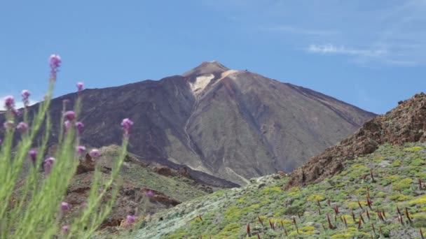 Teide tenerife, Kanarya Adaları İspanya. — Stok video