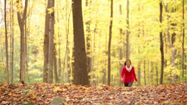 Çalışan kadın mutlu mutlu sonbahar ormanında sonbahar — Stok video