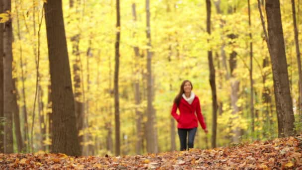 Mujer de otoño feliz caminando en el bosque de otoño — Vídeo de stock