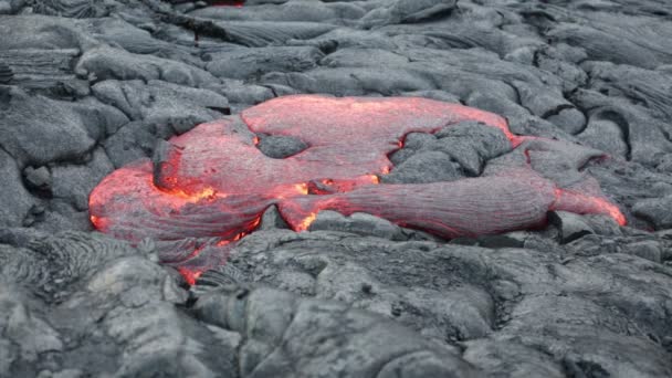 Lava - lava que fluye desde el volcán Kilauea — Vídeo de stock