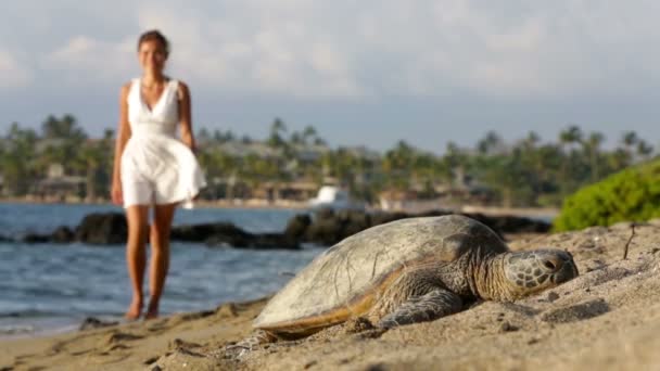 하와이 장면-해변 여자 산책에 바다 거북 — 비디오