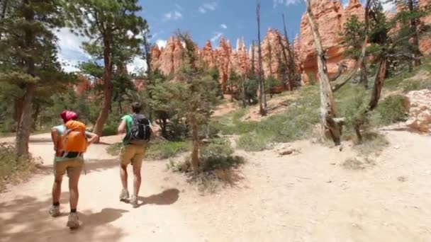 Hiking. güzel bir manzarada yürümeye yürüyüşçü — Stok video