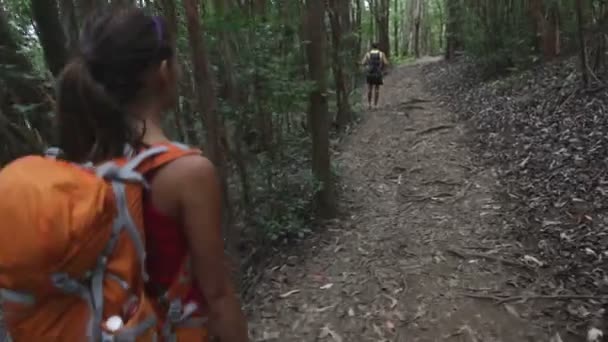 Caminhadas casal na floresta no Havaí — Vídeo de Stock