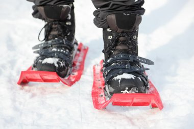 Snowshoes clipart