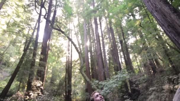 People in walking in forest  Redwoods — Stock Video