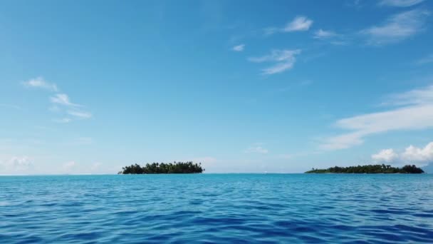 Raj na prywatnej wyspie. Podróże wakacje ikona tropikalnej plaży motu wyspa z palmami. Turkusowy krystalicznie czysty lagunowy ocean woda na wakacjach na Bora Bora, Polinezja Francuska — Wideo stockowe