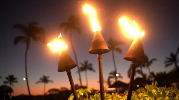 Puesta de sol de Hawai con antorchas de fuego. Icono hawaiano, luces ardiendo al atardecer en la playa — Vídeos de Stock