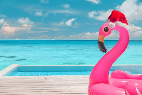 Natal pantai musim panas kolam renang flamingo mengapung dengan topi santa latar belakang untuk liburan musim dingin — Stok Foto