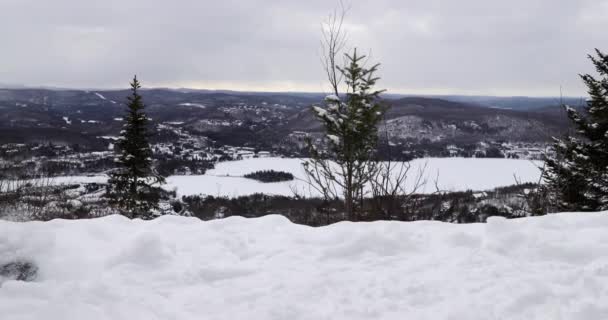 スノーシューハイキング冬の活動。牧歌的な冬の風景の中に森のハイキングでスノーシュー女性。スノーシューで雪の中を歩く人たち。Montトレムブラント, Laurentians,ケベック州,カナダ. — ストック動画