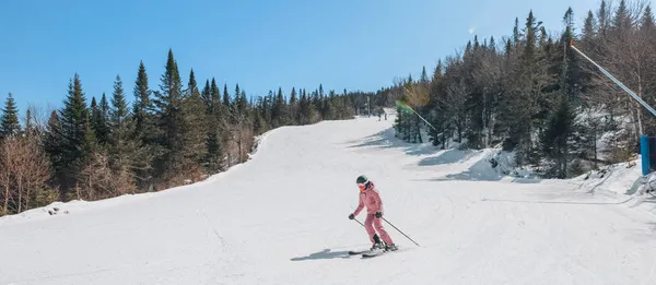 Ski alpin. Skirennläuferin geht im Winter in roter Skijacke gegen schneebedeckte Bäume. Mont Tremblant, Quebec, Kanada. — Stockfoto